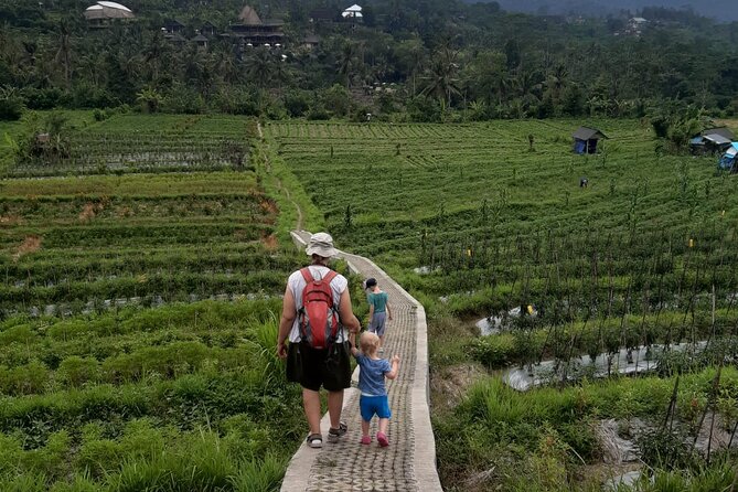 Sidemen Trekking Through Rice Terraces and Villages - Key points to know before you go
