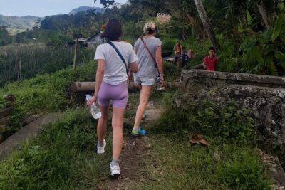 Sidemen Trekking Through Rice Terraces and Villages