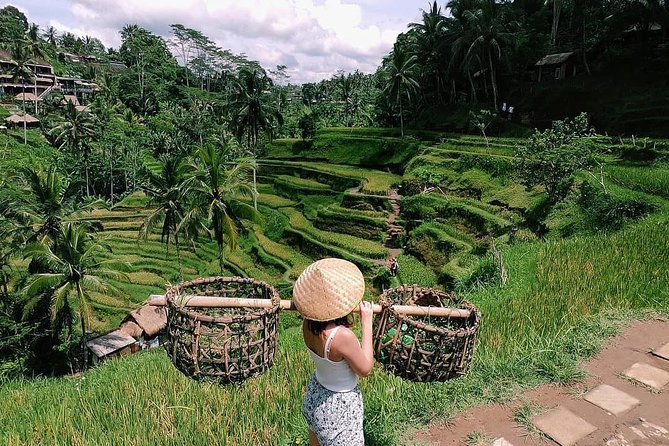 Skip-the-Line: Ubud Tour - All Inclusive Tickets - Starting at 8:30 with a private driver
