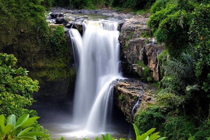 Skip-the-Line: Ubud Tour - All Inclusive Tickets - Sacred Monkey Forest Sanctuary in central Ubud