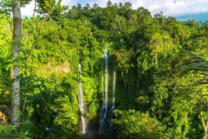 Small-Group Sekumpul Waterfall Jungle Trek with Lunch - The 5:00 am Start And Long Ride North