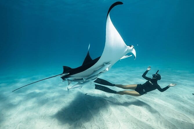 Snorkeling 3 Spots with GoPro & West Coast Tour Nusa Penida - What makes this Nusa Penida tour worth considering