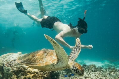 Snorkeling 3 Spots with GoPro & West Coast Tour Nusa Penida