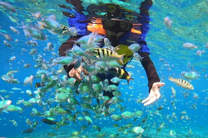 Snorkeling 3 Spots with GoPro & West Coast Tour Nusa Penida - Broken Beach and Angel’s Billabong