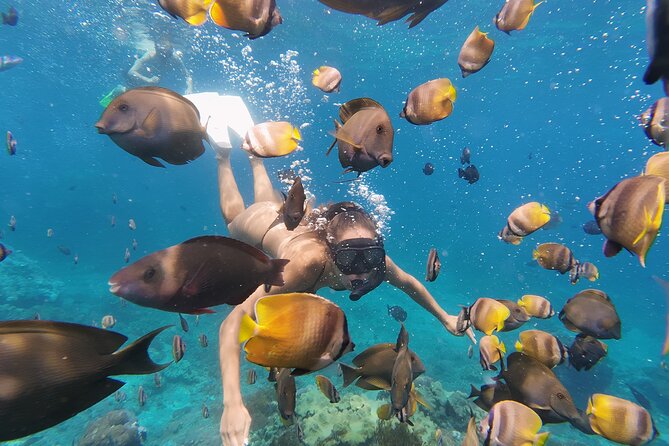 Snorkeling 4 Spot With Manta Bay Or Optional Land Trip - Wall Point and Crystal Bay