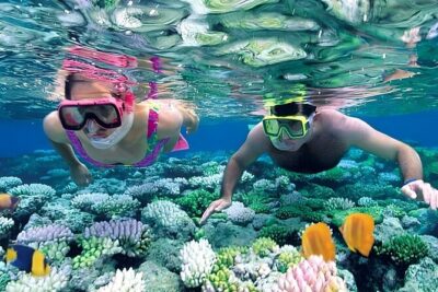 Snorkeling 4 Spot With Manta Bay Or Optional Land Trip
