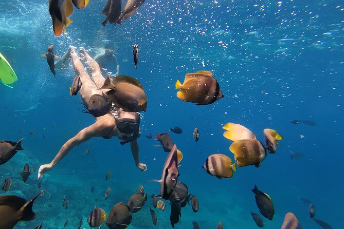Snorkeling 4 Spot With Manta Bay Or Optional Land Trip - What the guides add for first-time snorkelers