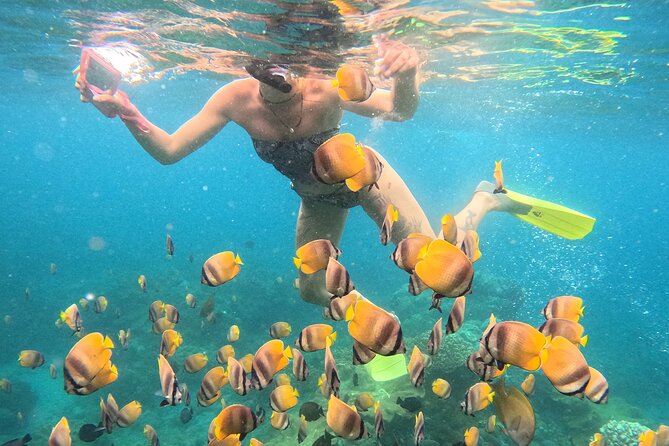Snorkeling 4 Spot With Manta Bay Or Optional Land Trip - GoPro photos and videos are a real part of the value
