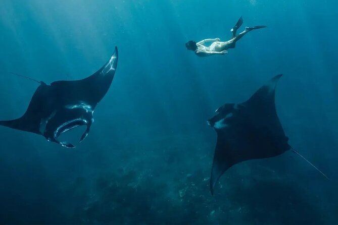 Snorkeling 4 Spots, Manta Rays, Tembeling Pool & Kelingking Beach - Key points to know before booking