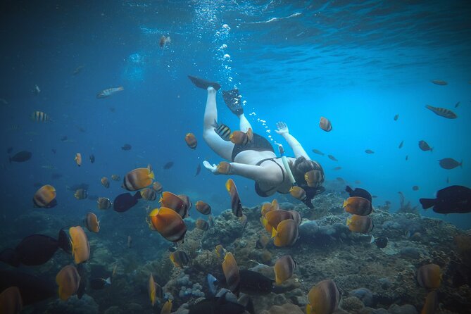 Snorkeling 4 Spots, Manta Rays, Tembeling Pool & Kelingking Beach - Kelingking Beach and the famous cliff view