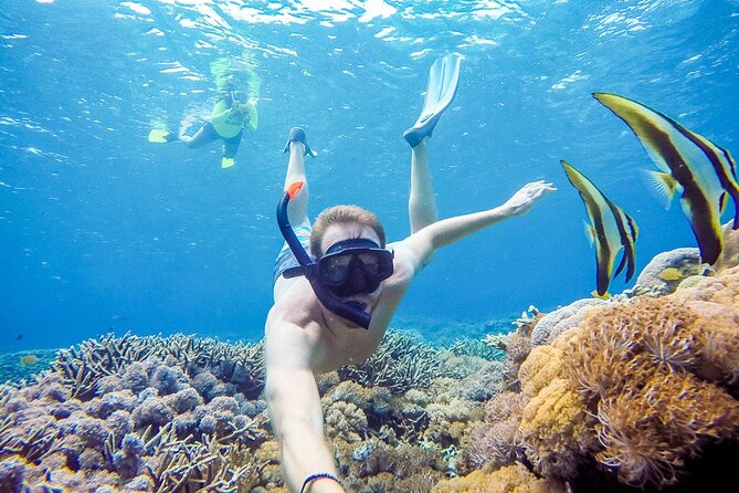 Snorkeling adventure to the manta ray habitat in Nusa Penida - Why this Nusa Penida snorkeling trip is appealing