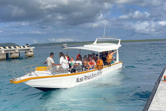 Snorkeling adventure to the manta ray habitat in Nusa Penida - Manta Point: the main wildlife encounter
