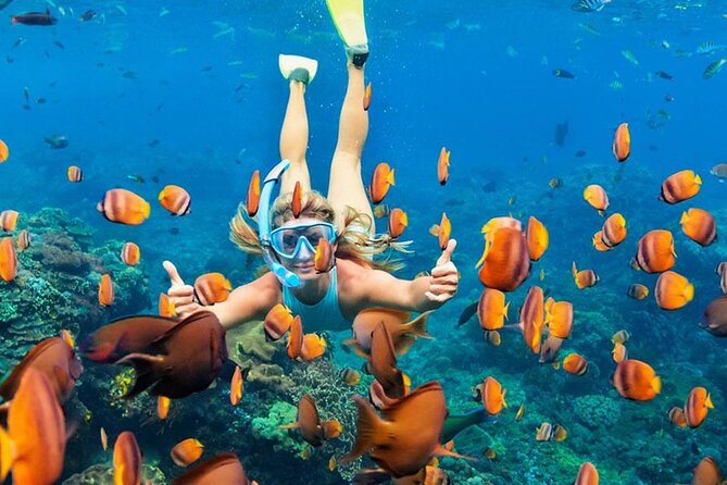 Snorkeling adventure to the manta ray habitat in Nusa Penida - Photos, videos, and the value of the $28.45 price