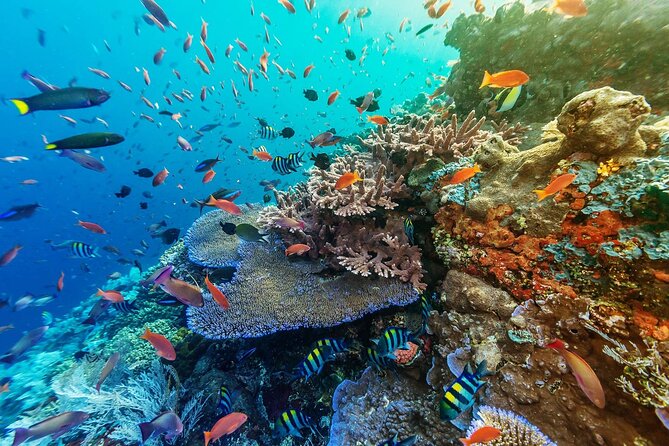 Snorkeling Adventure with East Nusa Penida Tour All Inclusive - What the $115 price really covers