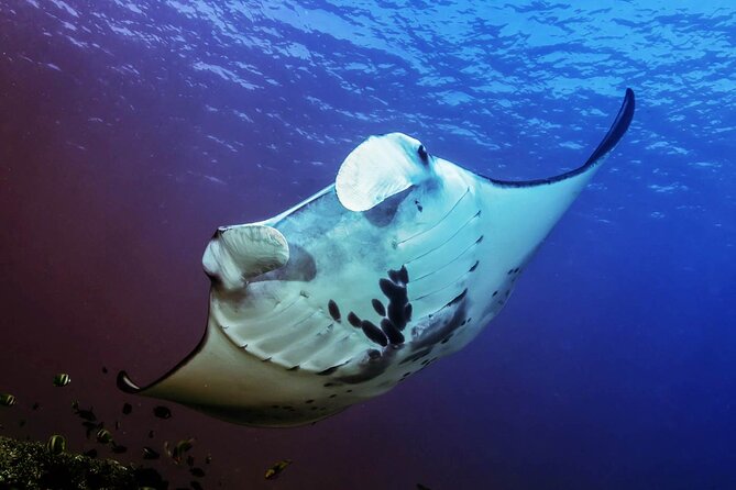 Snorkeling Adventure with East Nusa Penida Tour All Inclusive - Arriving at Toya Pakeh pier