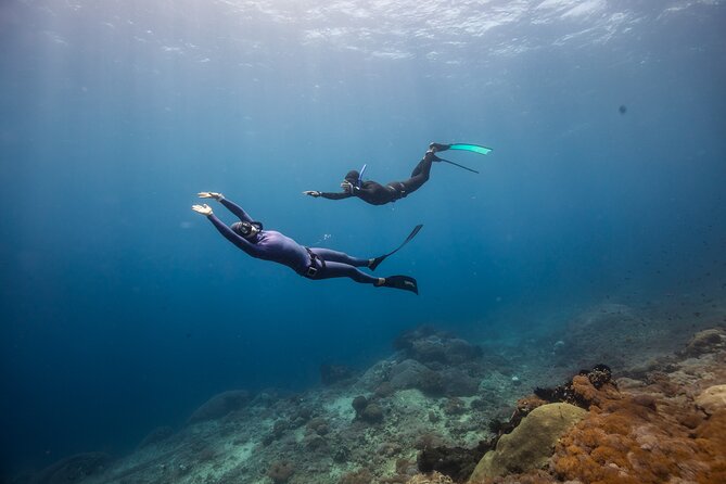 Snorkeling and Freediving Trip around Nusa Penida - What the $60 price really buys