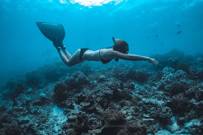 Snorkeling and Freediving Trip around Nusa Penida - Manta Point and the search for wild rays