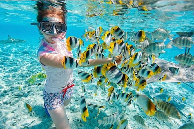 Snorkeling At Blue lagoon And Hidden waterfall - Key points at a glance