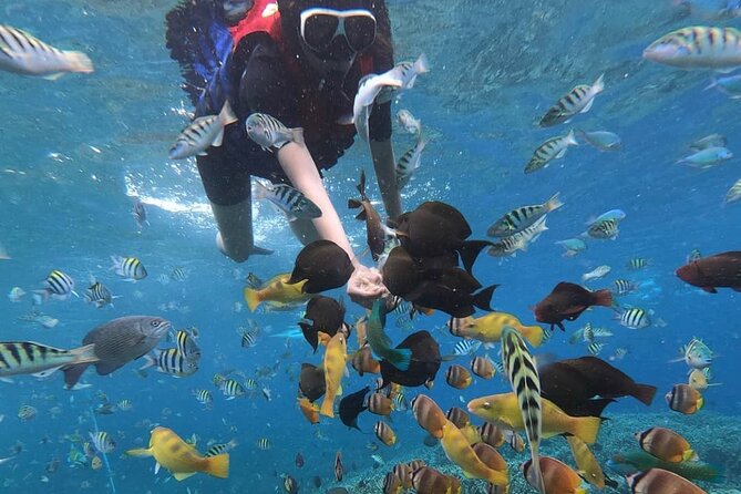 Snorkeling At Blue lagoon And Hidden waterfall - Blue Lagoon and Tanjung Jepun snorkeling