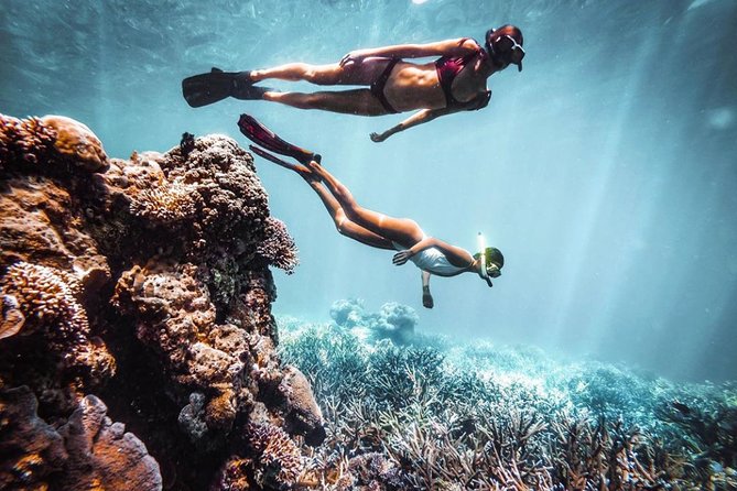 Snorkeling At Blue lagoon And Hidden waterfall - What the $54 price really covers