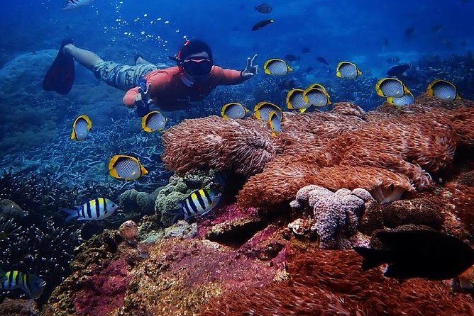 Snorkeling Day Trip To Lembongan and Penida - Serangan Port and the early ferry crossing