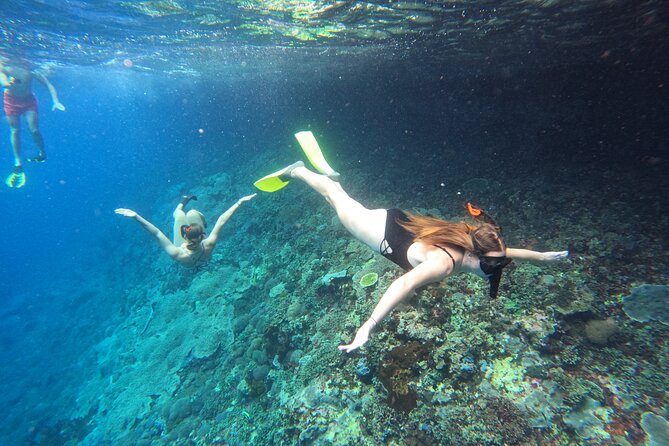 Snorkeling Day Trip to Nusa Lembongan and Nusa Penida - A Nine-Hour Island Day Built Around the Sea