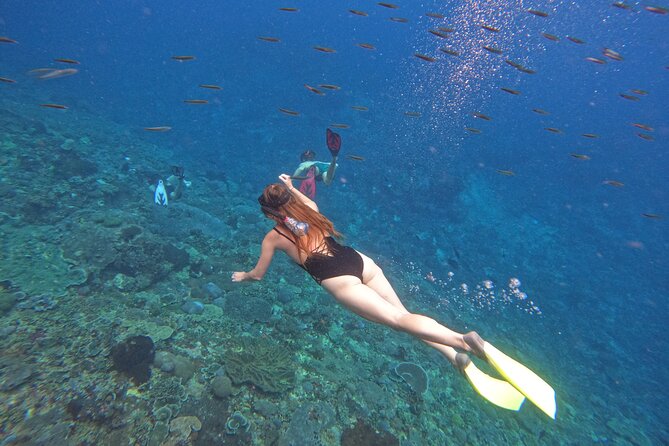 Snorkeling Day Trip to Nusa Lembongan and Nusa Penida - Three Snorkeling Stops, With Conditions in Charge