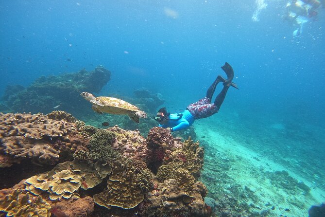 Snorkeling Day Trip to Nusa Lembongan and Nusa Penida - Who Will Enjoy This Trip Most?