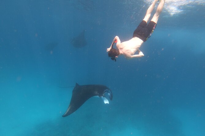 Snorkeling Day Trip to Nusa Lembongan and Nusa Penida - Practical Details Before You Book