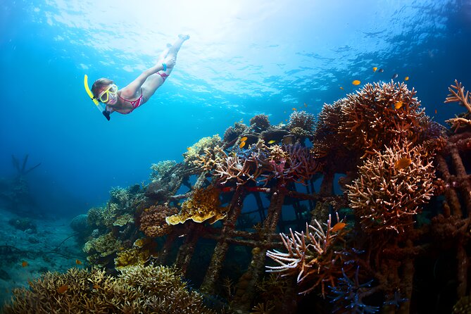 Snorkeling in Blue Lagoon Padang Bai Bali : Snorkel in the clear blue waters - From Seminyak to Padang Bai