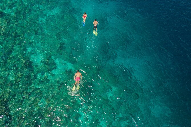 Snorkeling in Menjangan Island with Pickup and Lunch - The 30-Minute Boat Ride to Menjangan