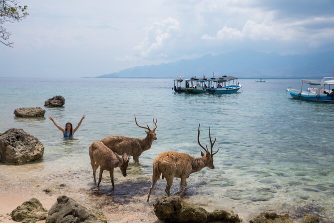 Snorkeling in Menjangan Island with Pickup and Lunch - First Snorkeling Session: 45 Minutes to One Hour