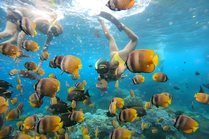 Snorkeling In Nusa Penida Departing From Bali Island - What the $104.50 price really covers
