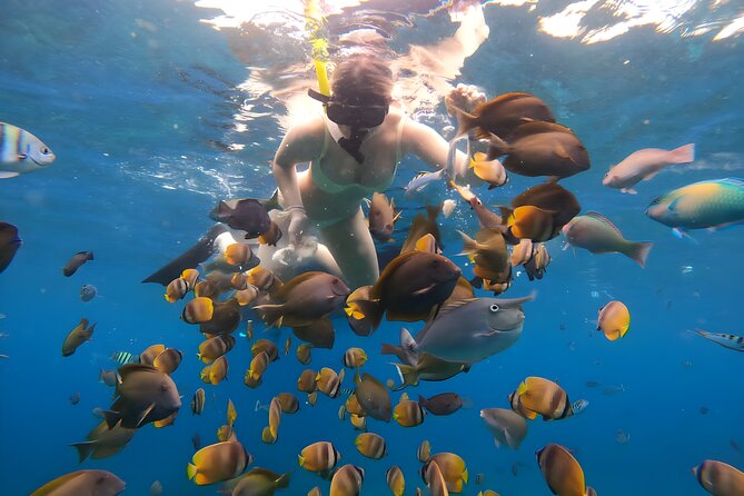 Snorkeling In Nusa Penida Departing From Bali Island - Crystal Bay and the manta question