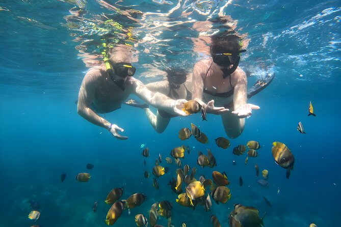 Snorkeling In Nusa Penida Departing From Bali Island - Wall Point and the value of a good guide