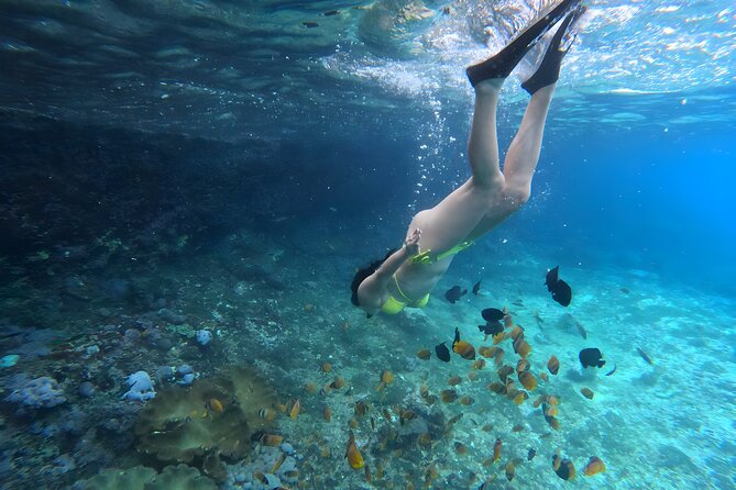 Snorkeling In Nusa Penida Departing From Bali Island - Shared boats, group size, and personal space