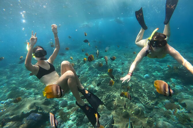 Snorkeling In Nusa Penida Departing From Bali Island - The return trip and afternoon alternative
