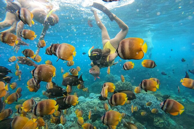 Snorkeling In Nusa Penida Island With Manta Ray From Bali - Wall Point and Crystal Bay