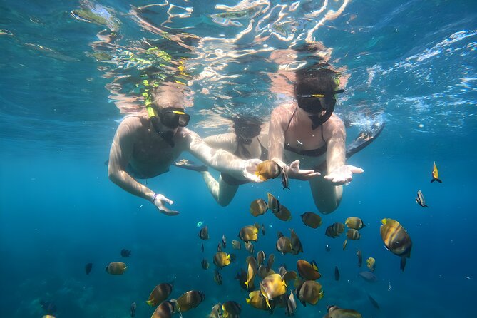 Snorkeling In Nusa Penida Island With Manta Ray From Bali - Equipment, photos, and physical demands