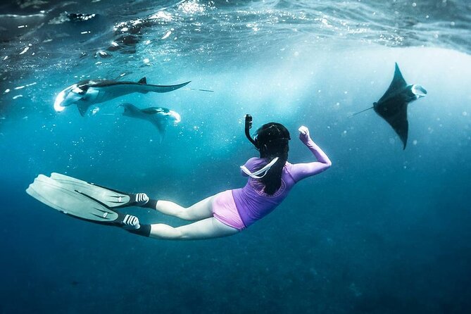 Snorkeling Manta Ray in Nusa Lembongan - Why this Nusa Lembongan trip appeals