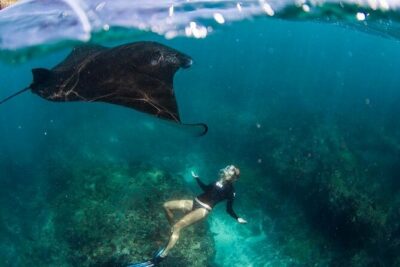 Snorkeling Manta Ray in Nusa Lembongan