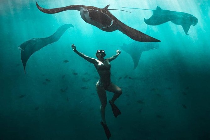 Snorkeling Manta Ray Safari in Nusa Penida - Key things to know before you book