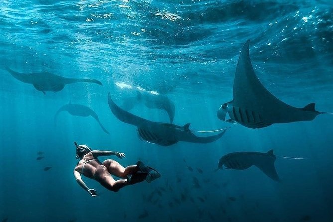 Snorkeling Manta Ray Safari in Nusa Penida - What this Nusa Penida snorkel trip is really like