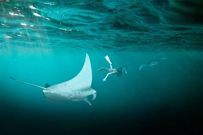 Snorkeling Manta Ray Safari in Nusa Penida - Crystal Bay Beach and the calmer side of the trip