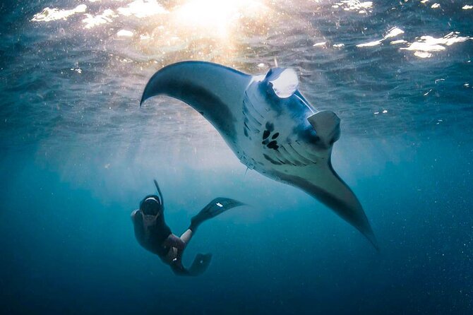 Snorkeling Manta Ray Safari in Nusa Penida - Group size, boat space, and safety