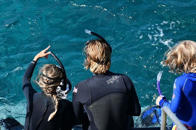 Snorkeling Manta Rays, Land Tour Tembeling Pool & Kelingking - Kelingking Beach from the famous cliff