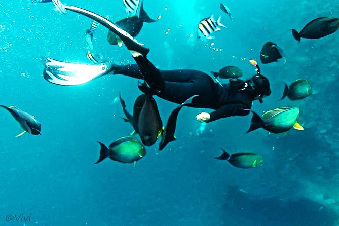 Snorkeling Package at Tulamben Liberty Shipwreck - Why the USS Liberty is worth the long ride
