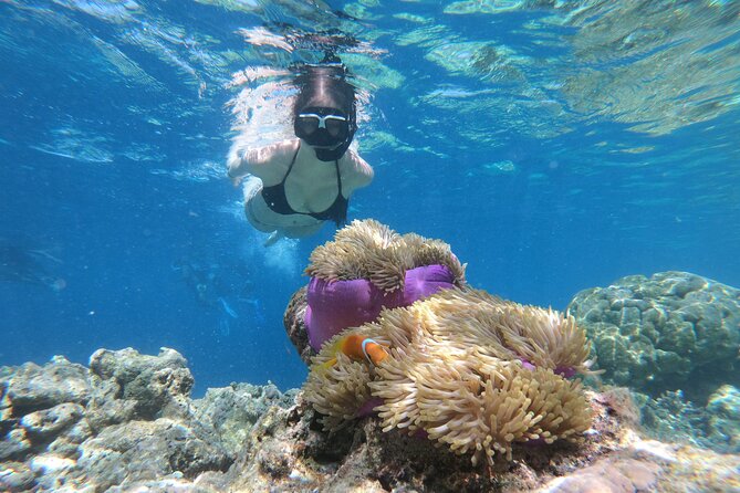 Snorkeling Tour at Blue Lagoon with Private Hotel Transfer - Key points to know before booking