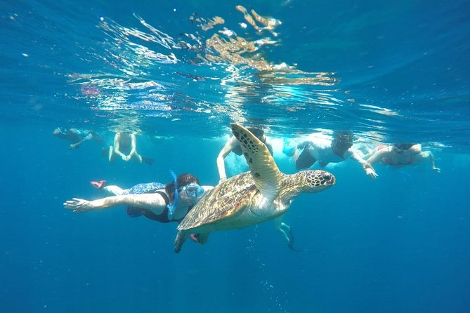 Snorkeling Tour In Gili Trawangan, Gili Meno And Gili Air Pick Up From Bali - Key points at a glance