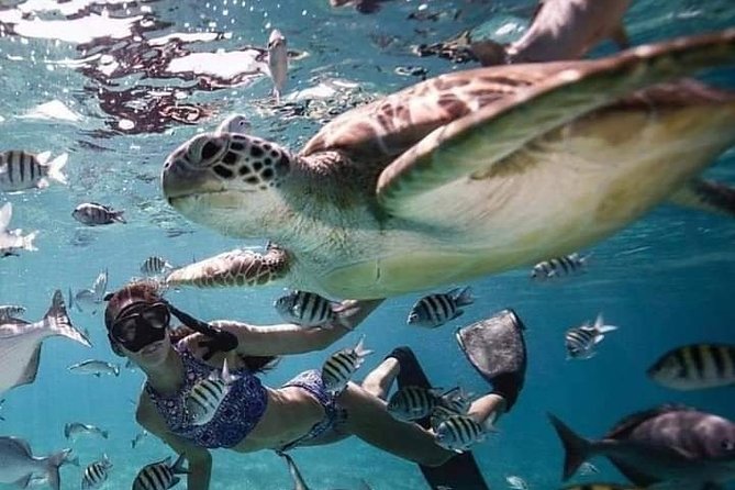 Snorkeling Tour In Gili Trawangan, Gili Meno And Gili Air Pick Up From Bali - Gili Trawangan and the first turtle stop